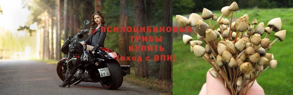 круглые Алексин