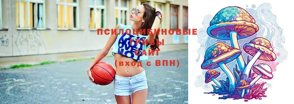 круглые Алексин